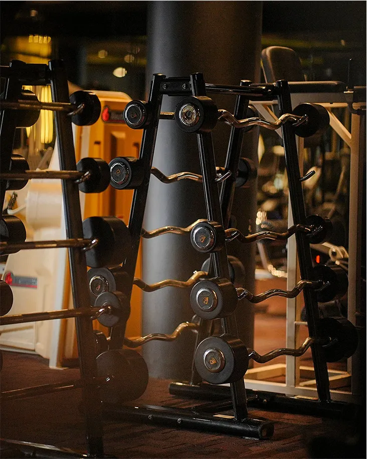 The Gym